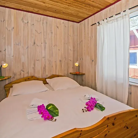 Herzmuschel Ueckeritz