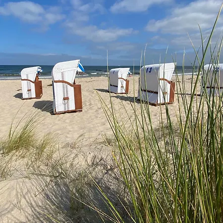 Herzmuschel * Ueckeritz