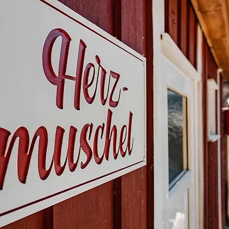 Nyaraló Herzmuschel *