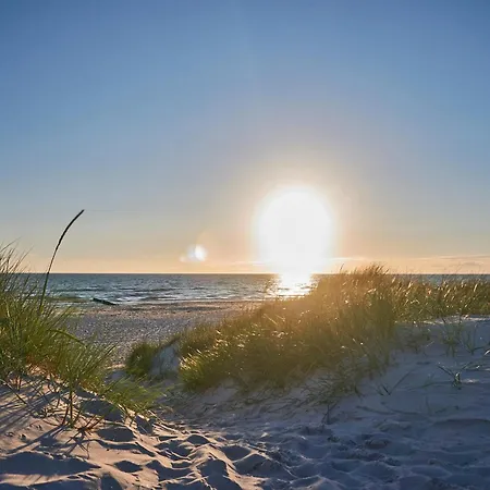 Herzmuschel Nyaraló *